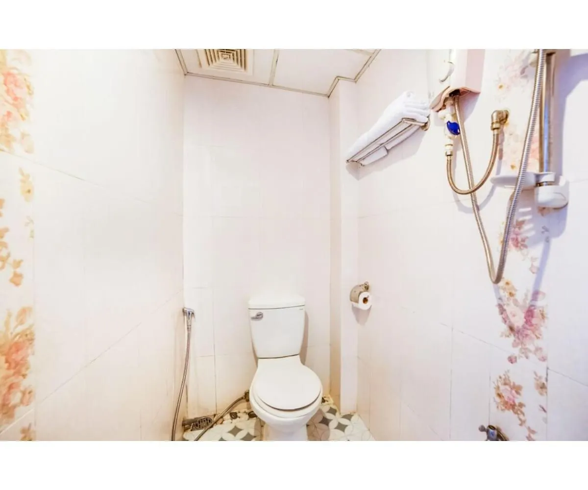 Oyo 553 Truong Giang Hotel Da Nang 3*,